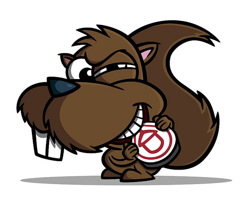 1000+ images about Squirrel!