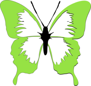 Green Butterfly Clipart - Free Clipart Images