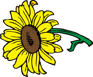 Sunflower clipart images