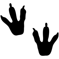 Dinosaur icons
