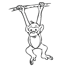 Top 25 Free Printable Monkey Coloring Pages For Kids