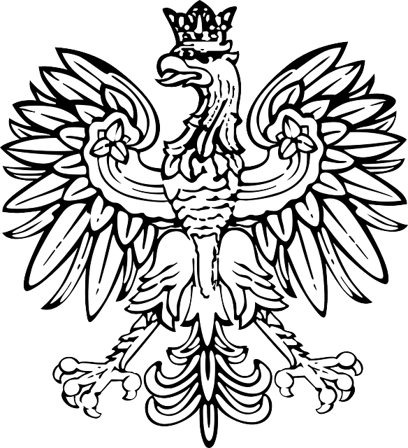 FLAG, BLACK, OUTLINE, POLAND, EAGLE, BIRD, FREE, EMBLEM - Public ...