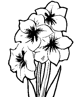Line Art Flower | Free Download Clip Art | Free Clip Art | on ...