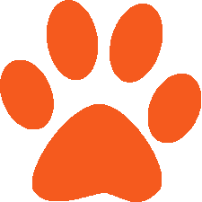 Orange Paw Print - ClipArt Best