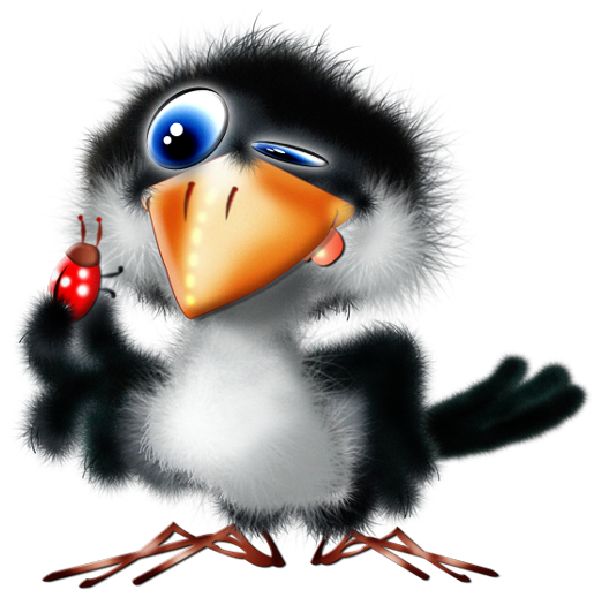 Cartoon Birds | How To Draw ...