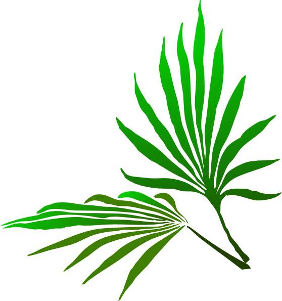 46+ Palm Tree Branch Clip Art