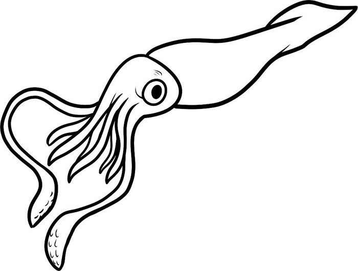 Sea Creature Drawings - Drawing