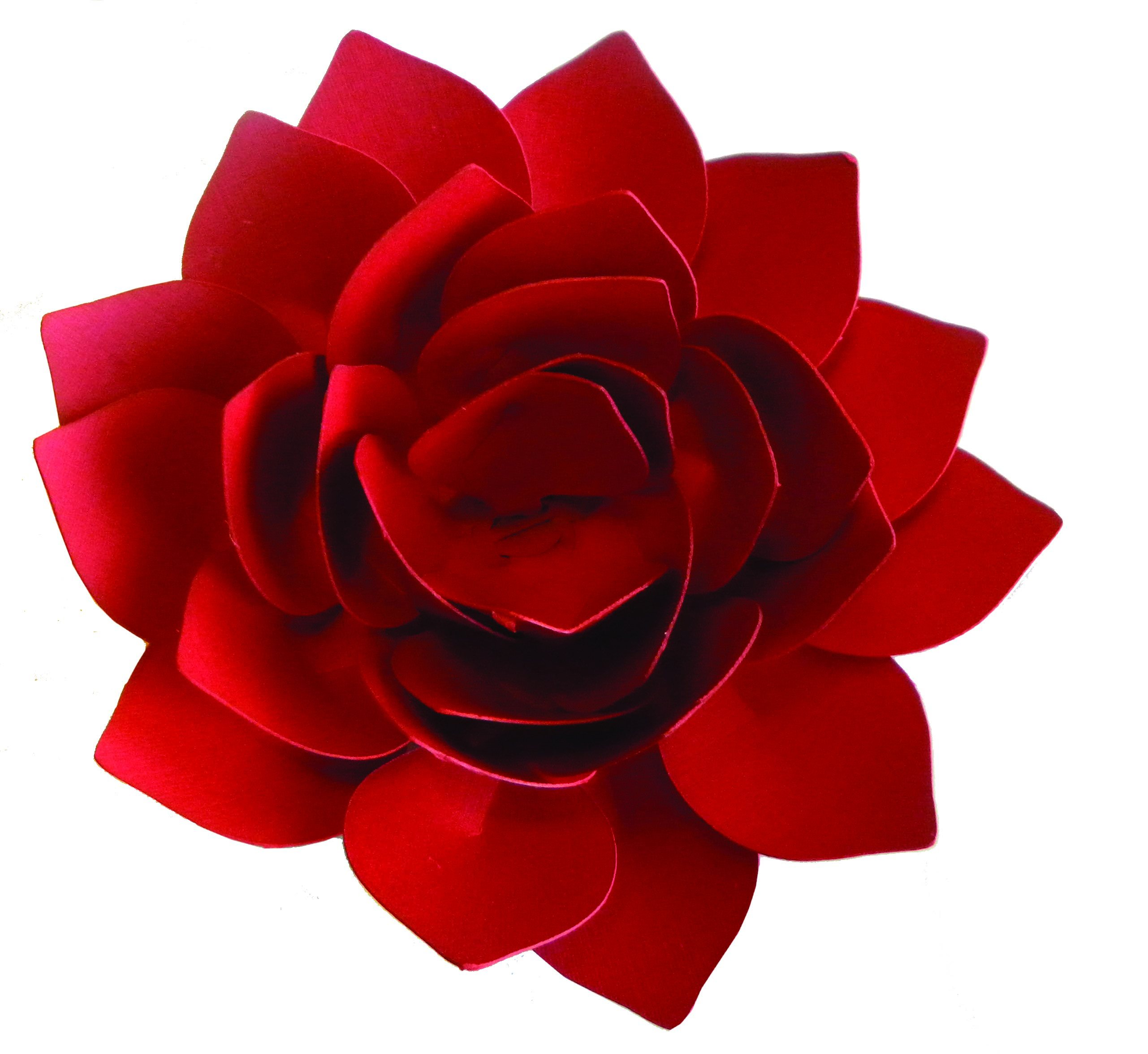 1000+ images about Cricut-Giant Flowers | Mother's ...