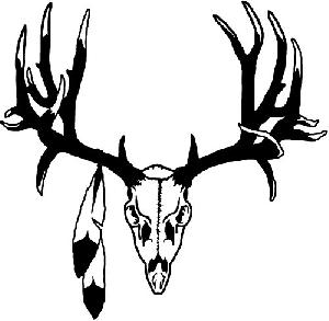 Big Buck Skull With Feathers Car or Truck Window Decal Sticker or ...
