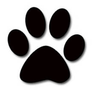 Dog WordArt - Polyvore