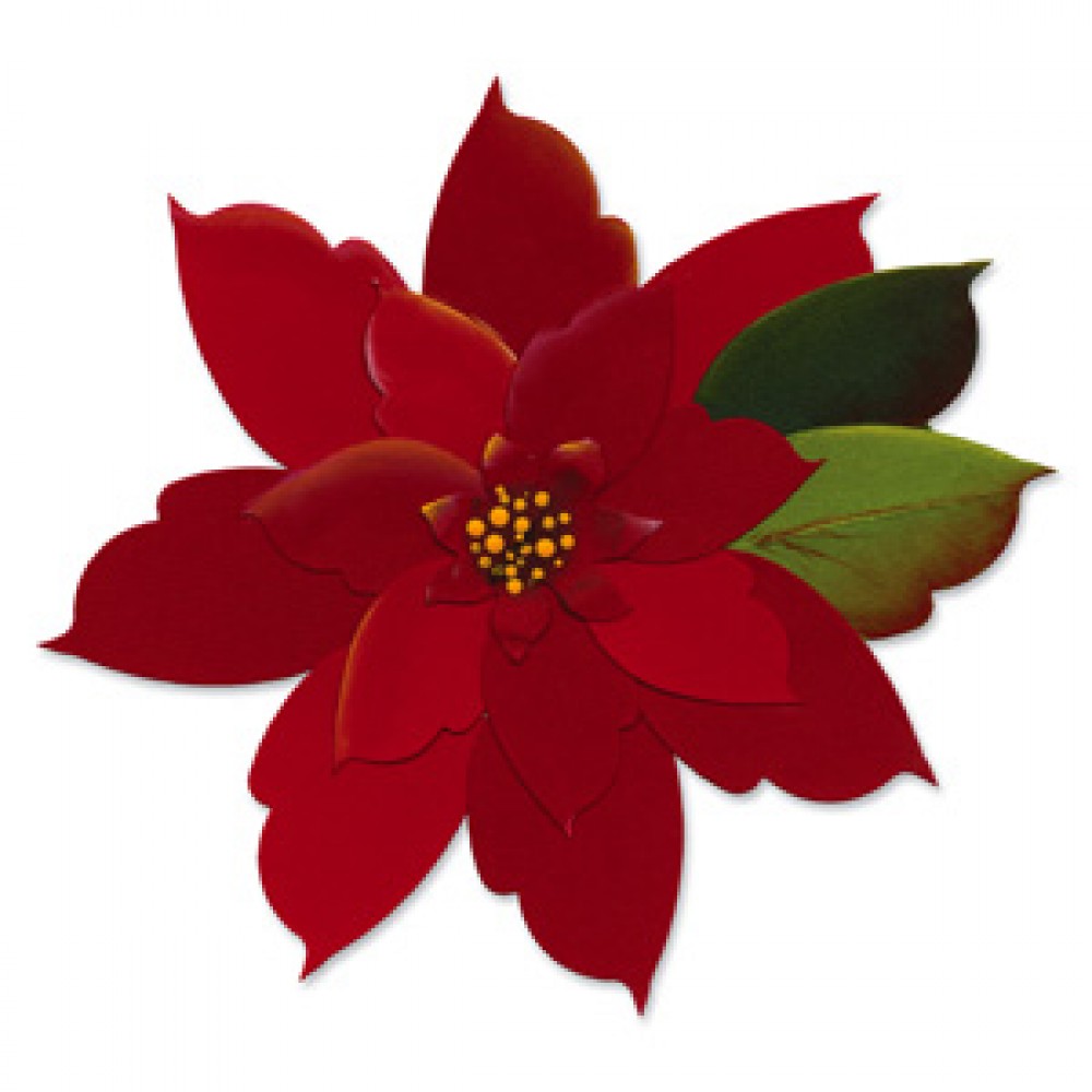 Sizzix Originals Die Flower Petals Center