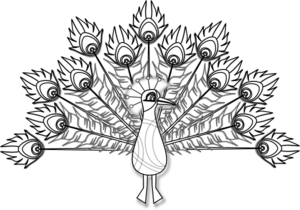 Peacock clip art - vector clip art online, royalty free & public domain