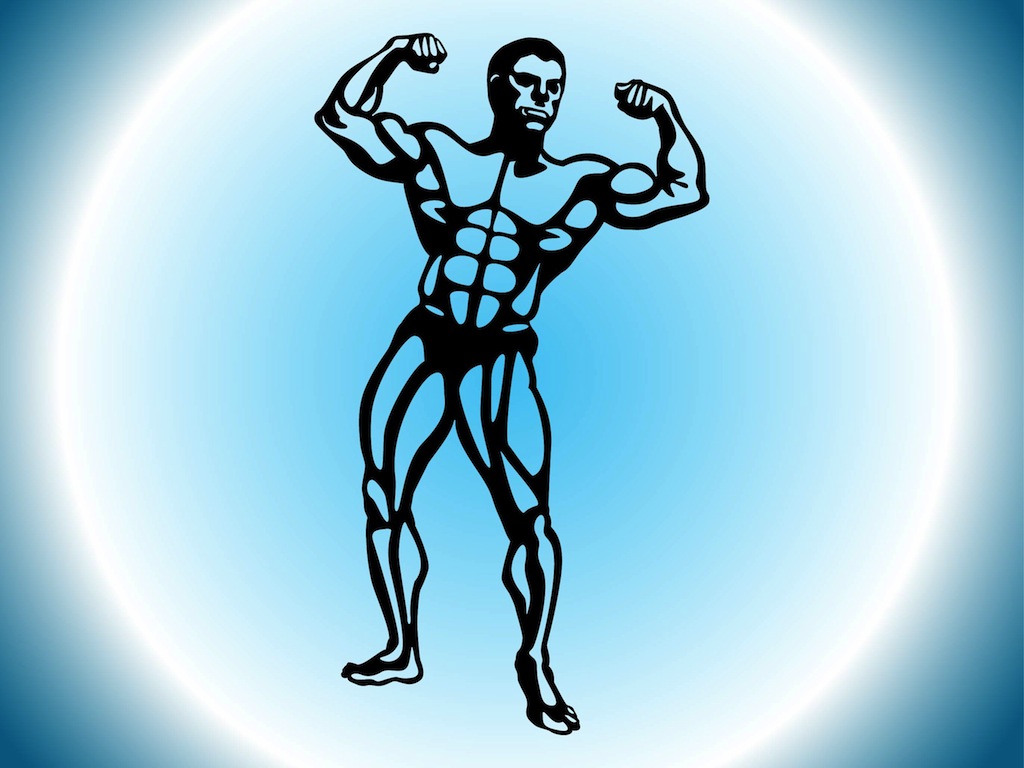 Muscular Man