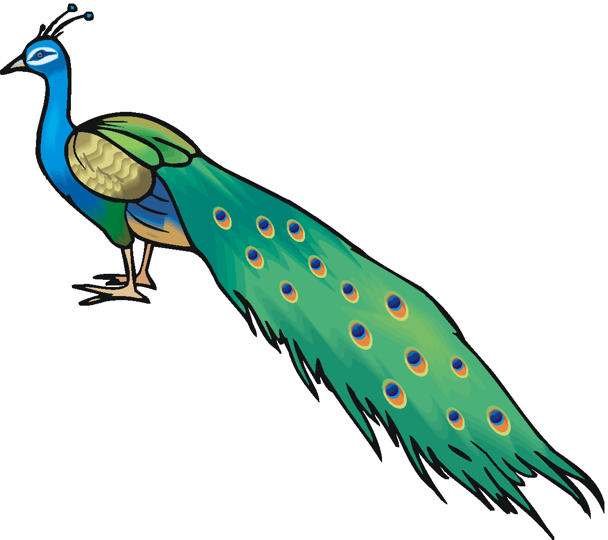 Peacock Clipart - Free Clipart Images
