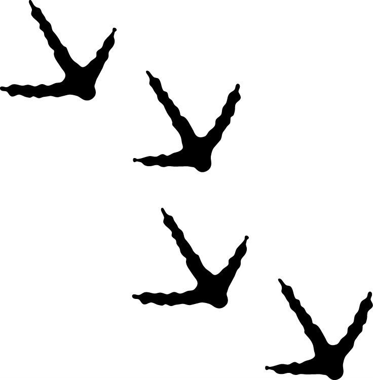 Turkey Tracks Clipart