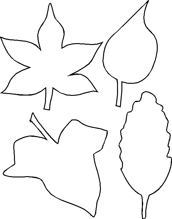 Leaf Outline Template