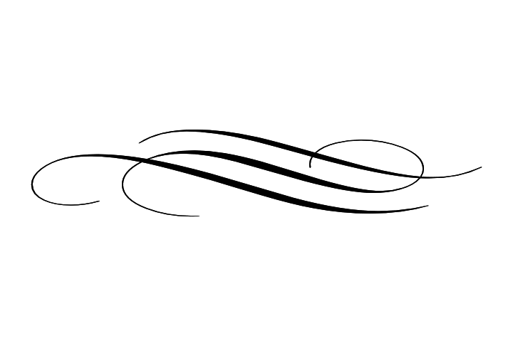 Simple Flourish Line Divider