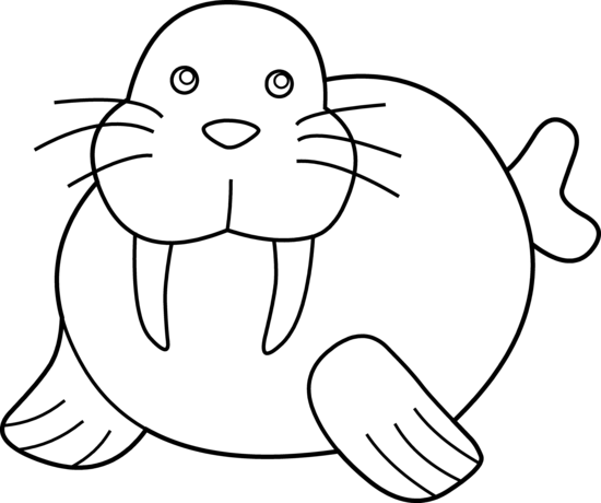 Walrus Clipart Walrus Clip Art