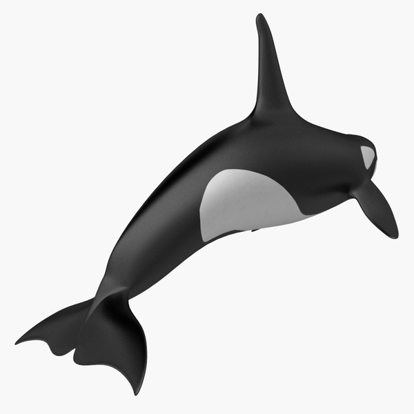 Animated Whale Clipart