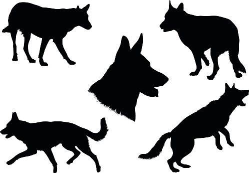 Police Dog Clip Art, Vector Images & Illustrations