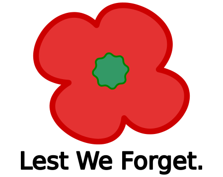 Why is everyone wearing red flowers at this time of year? - EC ...