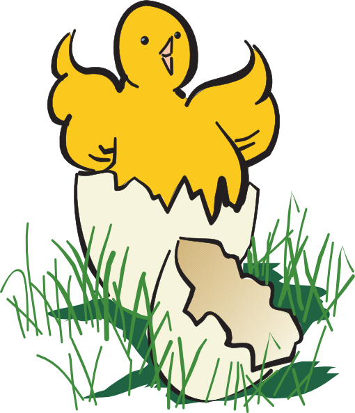Baby chick hatching clipart
