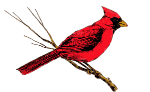 Animation Bundle: Animated Cardinals Chirping and Spreading Love ...