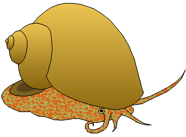 Clip art cartoon snail clipart kid 2 - Clipartix