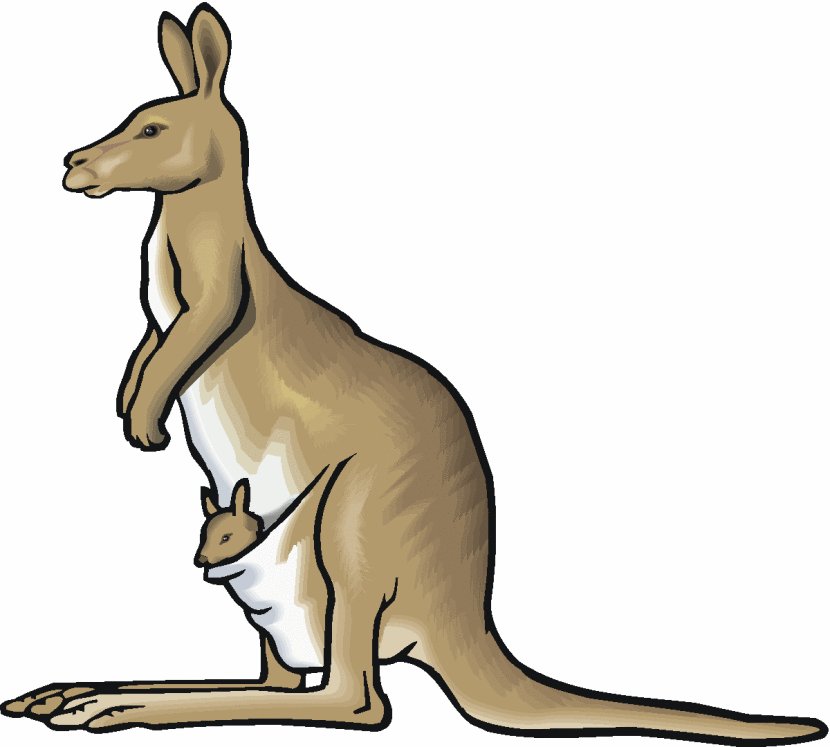 Kangaroo clip art