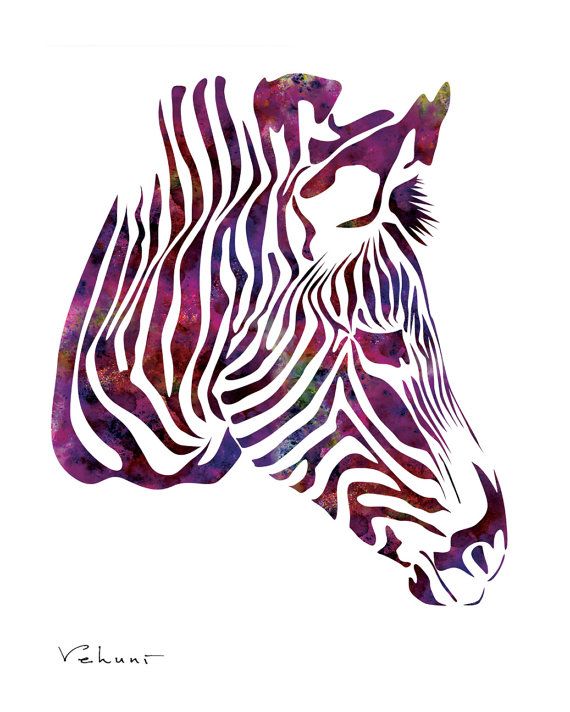 Purple Zebra | Zebra Print, Rainbow ...