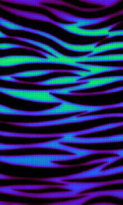 Free Animated+zebra+print wallpapers