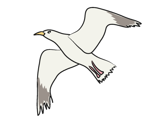 Seagull Clipart | Free Download Clip Art | Free Clip Art | on ...