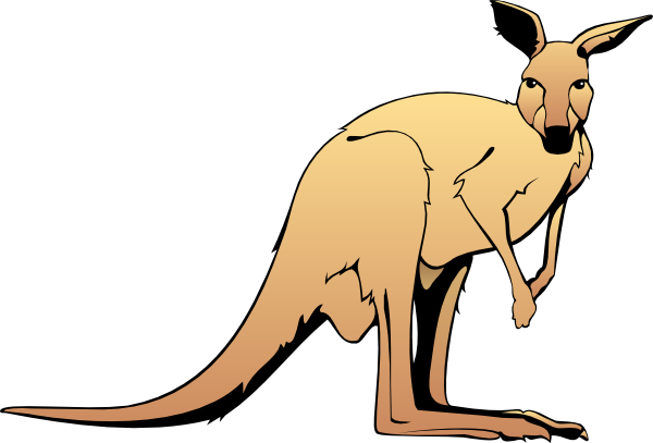 Cartoon Kangaroo Images