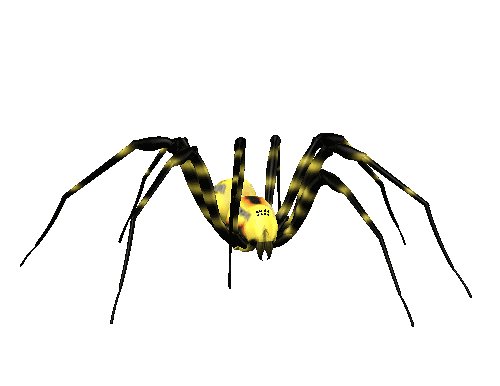 Awesome Animated Spider Gifs at Best Animations