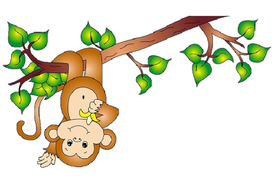 Monkey Images