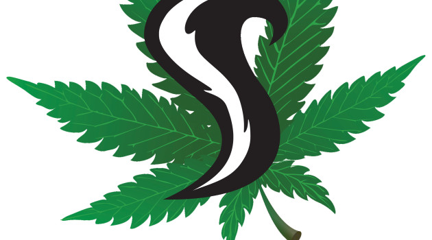 Smoking skunk might triple the risk of psychosis