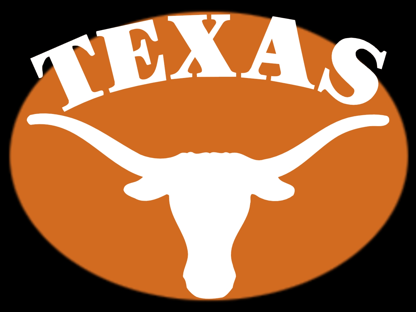 1000+ images about Texas Longhorns Fan!!