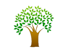 Acacia Tree Clip Art - ClipArt Best
