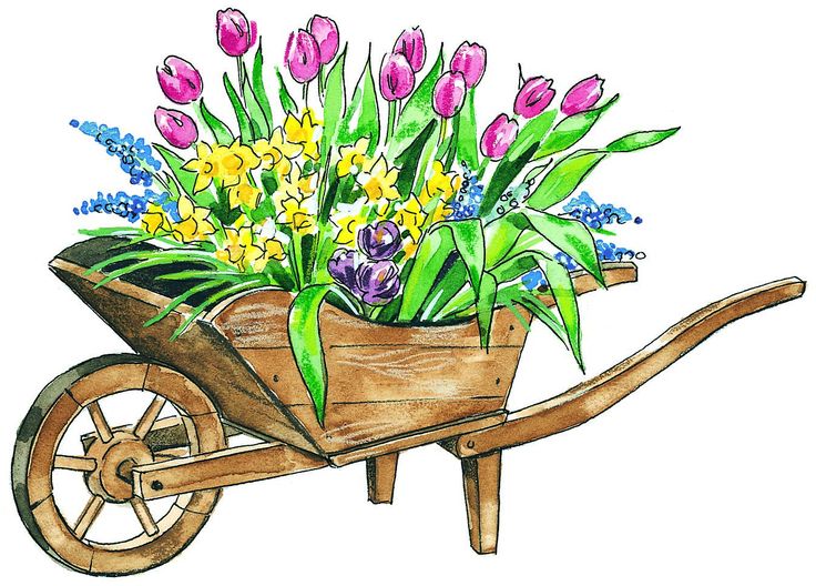 May-Flowers-Clip-Art-1 | Kaufman County Republican Women