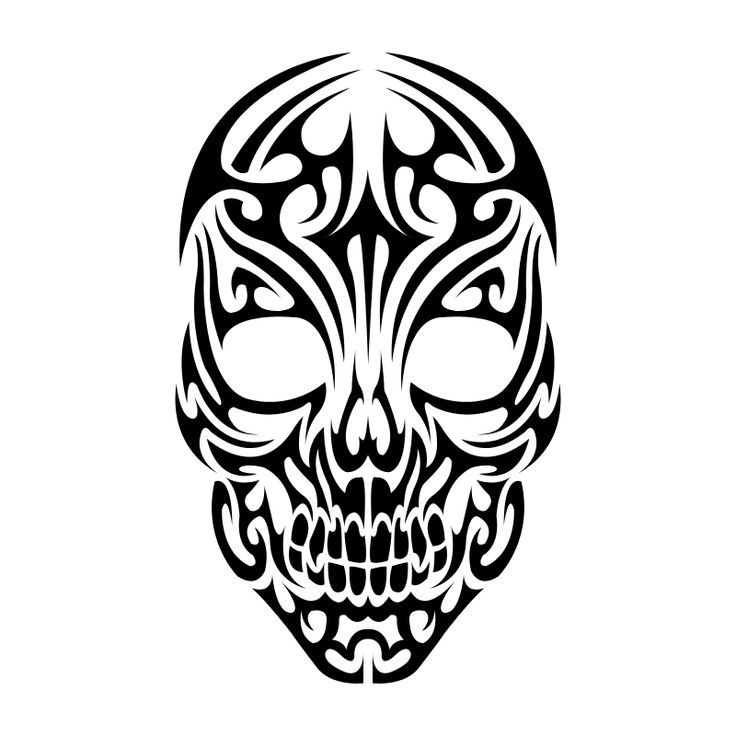1000+ images about cool shit | Skull design, Human ...