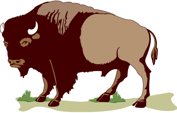Bison Black And White Clipart