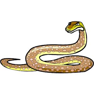 Python clipart