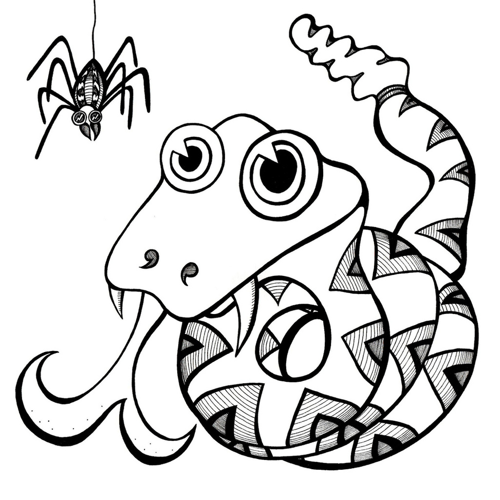Snake Line Drawing Clipart - Free to use Clip Art Resource