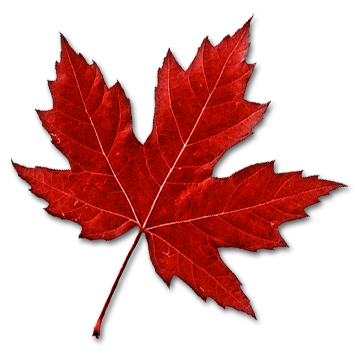 Canada Maple Leaf PNG Transparent Images | PNG All