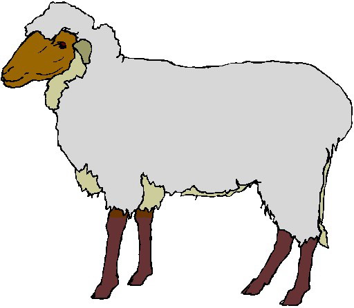 Clip Art Smiley Sheep Clipart