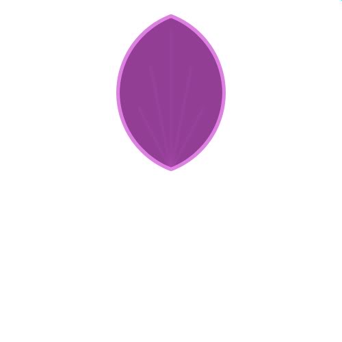 Petal Shape - ClipArt Best
