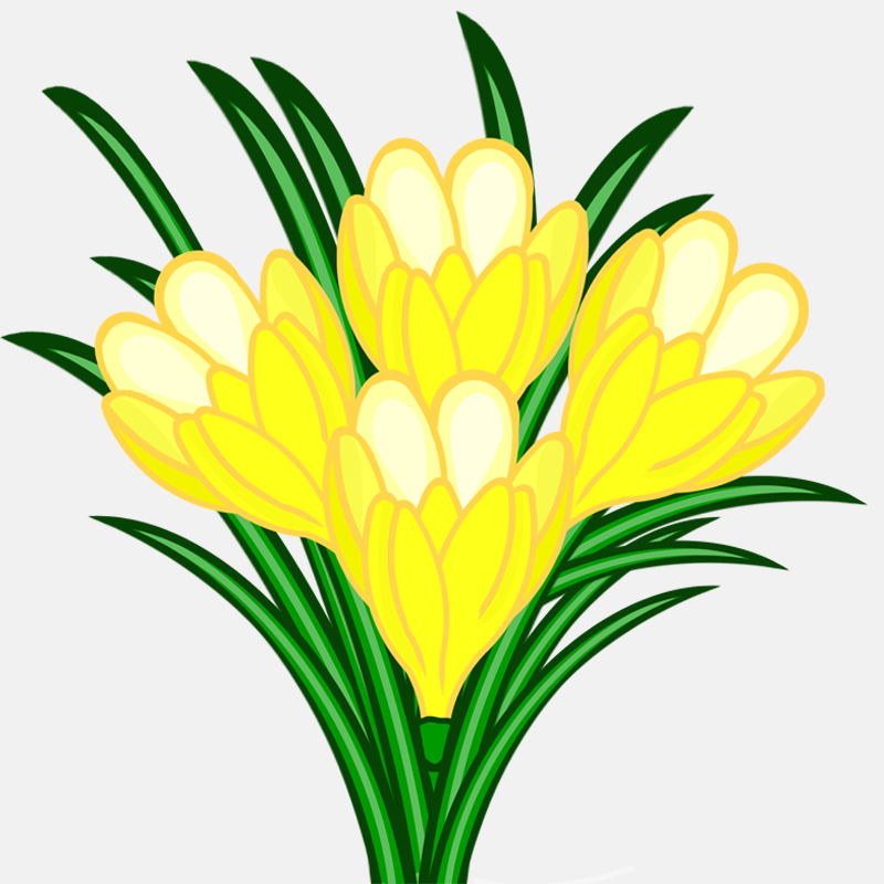 Krokusse Â« Cliparts