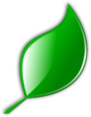 Tea Leaf Clip Art Download 1,000 clip arts (Page 1) - ClipartLogo.com