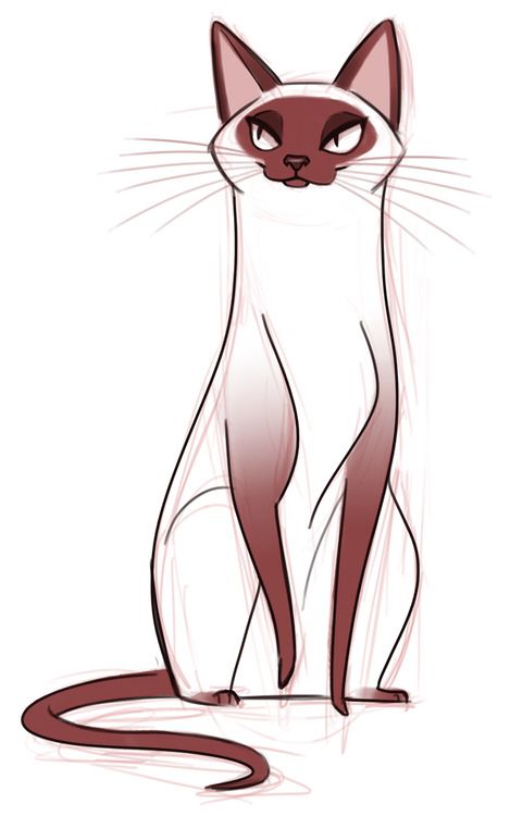 Cat Drawing | Cheshire Cat Drawing ...