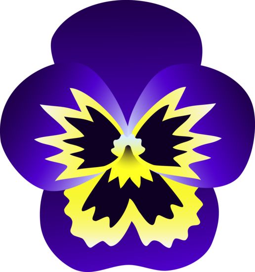 1000+ images about Pansies